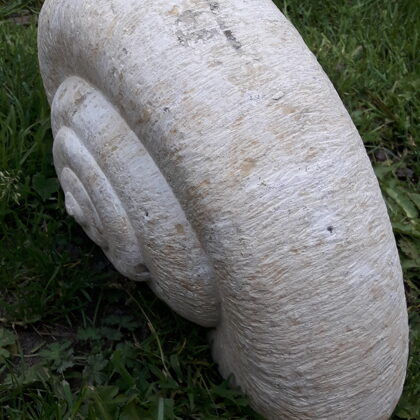 Escargot, Calcaire du Gers, 25 x 22 x 15cm