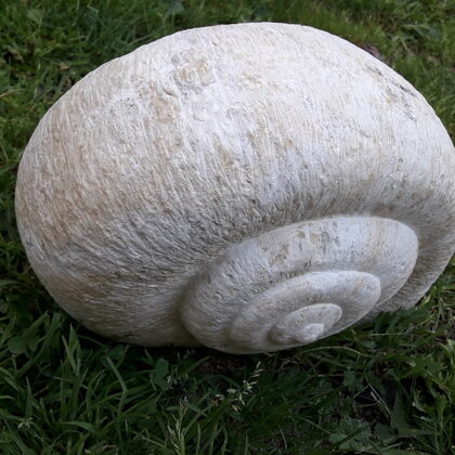 Escargot, Calcaire du Gers, 25 x 22 x 15cm