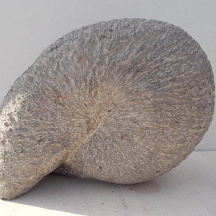 Escargot, en calcaire lacustre dur, Espagne. Taille; 25 x 22 x 15 cm.