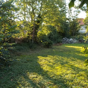 Avant Chantier coté jardin.