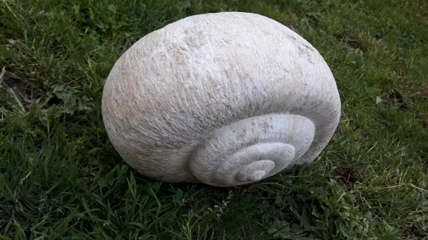 Escargot, Calcaire du Gers, 25 x 22 x 15cm