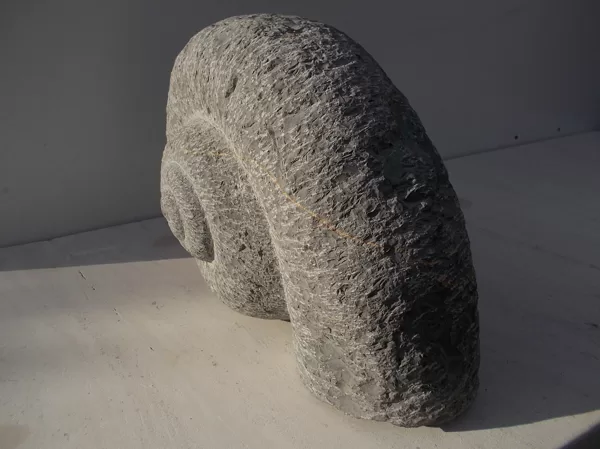 Escargot, en calcaire lacustre dur, Espagne. Taille; 25 x 22 x 15 cm..